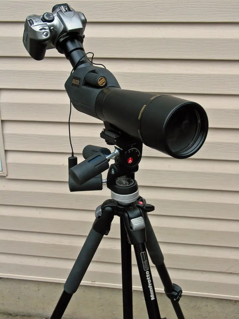 Best Spotting Scope For Bird Watching Reviews Viparrot