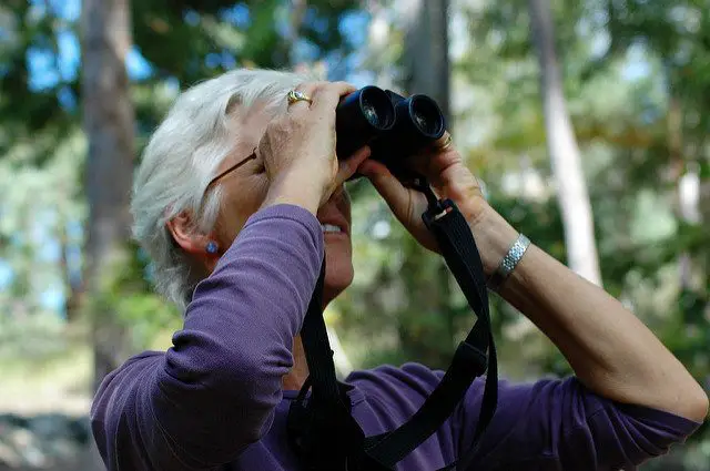 binocular bird watching