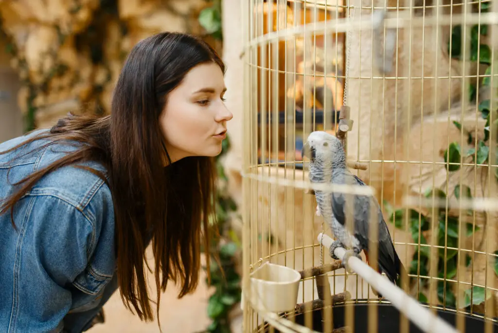 a woman looking at a african grey parrot in a cage within a pet store